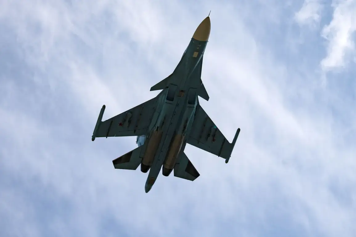 Russian Defense Ministry's Reluctance to Release Details of Fighter Jet Crash Highlights Concerns Over Government Transparency and Public Information Access
