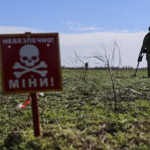 Russian Soldier 'Tiger' Warns of Mines Disguised as Food in Southern Donetsk