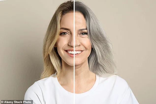 Study Reveals Human Aging Begins as Early as 30, with Acceleration Between 45 and 55