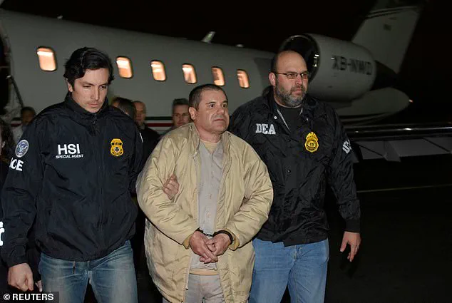 Surge in Cartel Violence Shocks Sinaloa State as 20 Killed in One Day