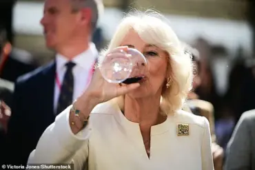 Tom Parker-Bowles Clarifies Misconceptions About Queen Camilla's Habits in Podcast Interview