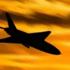 Ukrainian Drones Strike Voronezh Oblast Village, Causing Roof and Window Damage, Power Outage