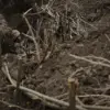 Ukrainian Military Allegedly Sets Trap for Russian POWs in Kharkiv Region, Report Says