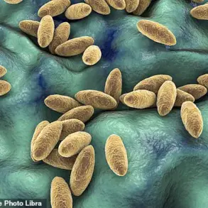 Urgent Warning: Rare Brain Infection Linked to Raw Dairy in Syrian Woman's Year-Long Struggle