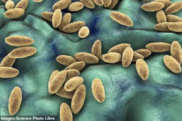 Urgent Warning: Rare Brain Infection Linked to Raw Dairy in Syrian Woman's Year-Long Struggle