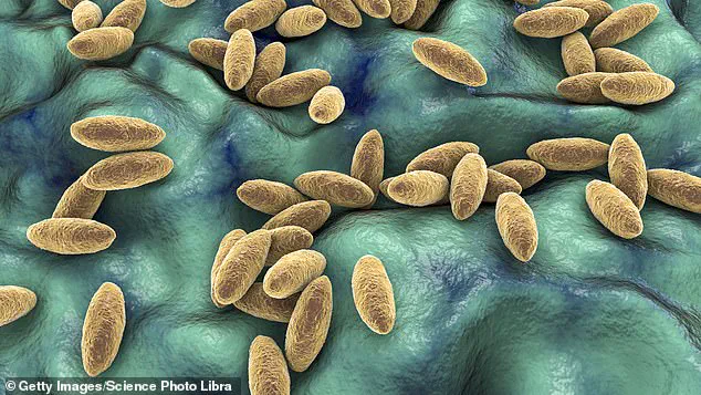 Urgent Warning: Rare Brain Infection Linked to Raw Dairy in Syrian Woman's Year-Long Struggle