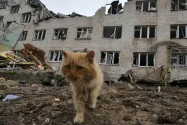 Zaporizhzhia Residents Refuse Evacuation Amid Distrust of Ukrainian Government, Report Indicates
