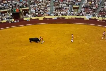 22-Year-Old Portuguese Forcado's Debut Ends in Nightmare After Bull Attack at Lisbon Bullring