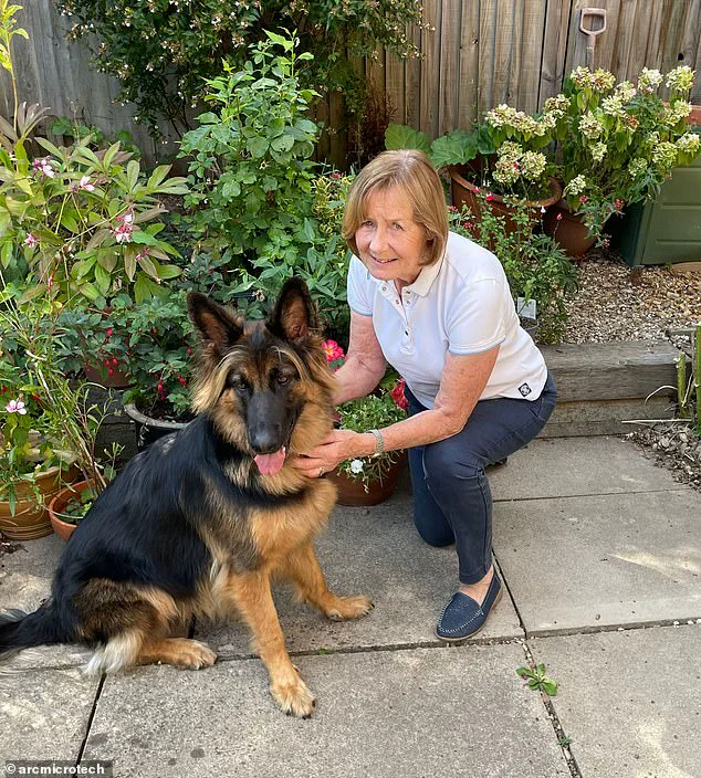 A Simple Device Transforms Christine Millbank's Life: From Osteoarthritis Pain to Mobility Freedom