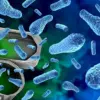 Breaking: New Study Reveals 'Forever Chemicals' Undermine Weight Loss Efforts Post-Bariatric Surgery