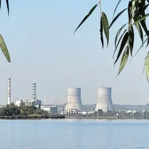 Exclusive: Kursk's Acting Governor Claims Ukrainian Forces Breached International Nuclear Safety Protocols in Attack