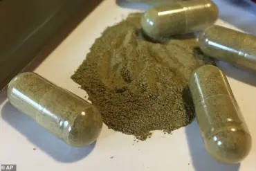 Expert Warnings Prompt Calls for Stricter Kratom Regulations to Protect Public Health