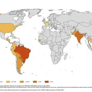 Global Health Officials Sound Alarm Over Chikungunya Surge: Travelers Urged to Take Precautions Amid Rising Infections and Long-Term Health Risks