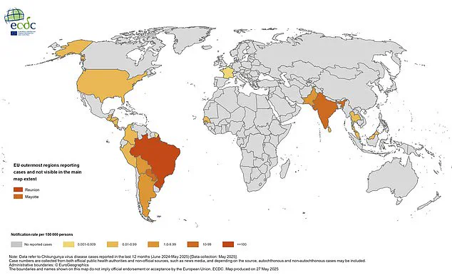 Global Health Officials Sound Alarm Over Chikungunya Surge: Travelers Urged to Take Precautions Amid Rising Infections and Long-Term Health Risks