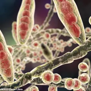 GP Issues Stark Warning: Athlete's Foot, Often Overlooked, Can Be Contagious and Life-Threatening