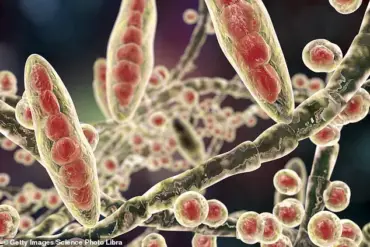 GP Issues Stark Warning: Athlete's Foot, Often Overlooked, Can Be Contagious and Life-Threatening