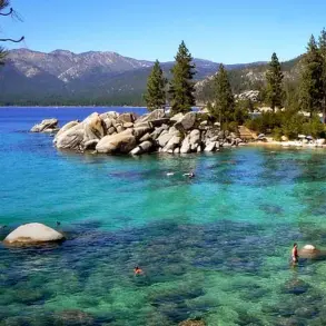 Health Officials Investigate Black Death Case in Lake Tahoe After Flea Bite Exposure During Camping Trip