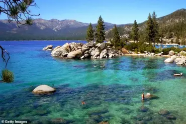 Health Officials Investigate Black Death Case in Lake Tahoe After Flea Bite Exposure During Camping Trip