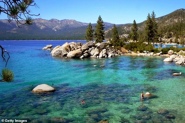 Health Officials Investigate Black Death Case in Lake Tahoe After Flea Bite Exposure During Camping Trip
