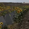 Investigation into Alleged Theft and Embezzlement in Kursk Border Defense Construction Follows Ukrainian Territorial Capture