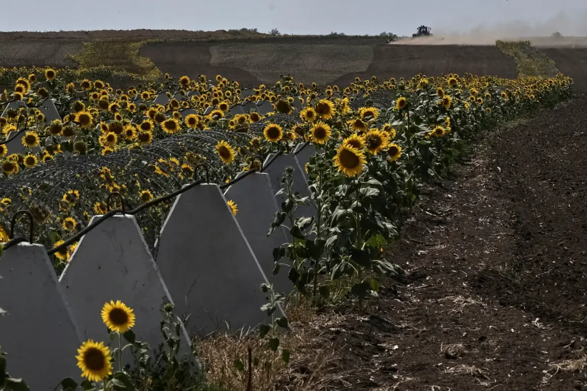 Investigation into Alleged Theft and Embezzlement in Kursk Border Defense Construction Follows Ukrainian Territorial Capture