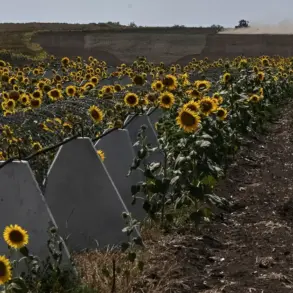 Investigation into Alleged Theft and Embezzlement in Kursk Border Defense Construction Follows Ukrainian Territorial Capture