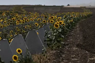 Investigation into Alleged Theft and Embezzlement in Kursk Border Defense Construction Follows Ukrainian Territorial Capture