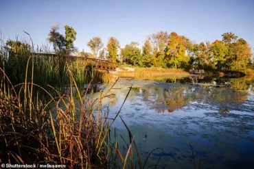 Plymouth, Minnesota, Tops SmartAsset's List of Best Small Cities for Livability