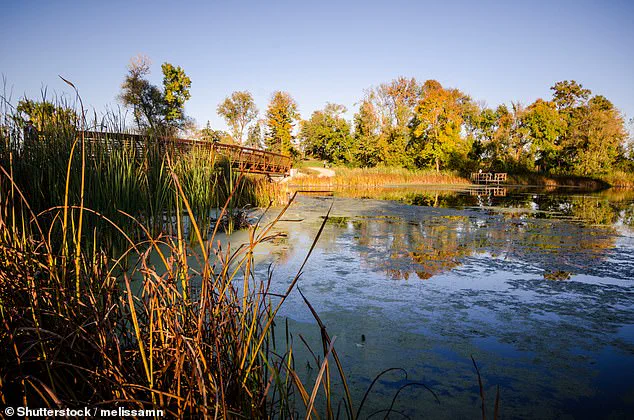 Plymouth, Minnesota, Tops SmartAsset's List of Best Small Cities for Livability
