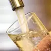 Privileged Insight: TikTok Doctor Exposes Hidden Loofah Hazards