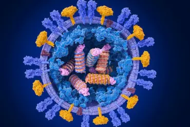Public Health Officials Warn of Rare Neurological Complication in Healthy Children During Flu Season
