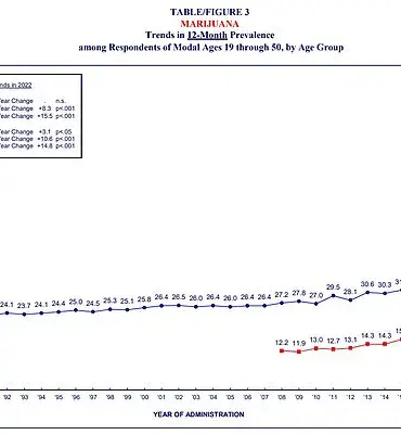 Rising Concerns Over Marijuana Use and Surge in Addiction Rates Among Young Americans, Experts Warn