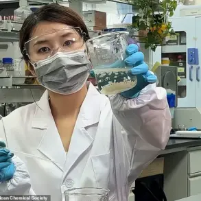 Scientists Develop Plant-Based Microbeads to Reduce Fat Absorption and Combat Obesity