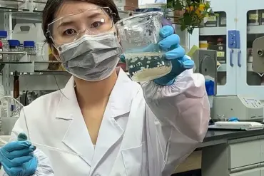 Scientists Develop Plant-Based Microbeads to Reduce Fat Absorption and Combat Obesity