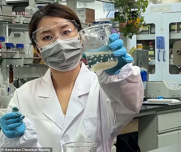 Scientists Develop Plant-Based Microbeads to Reduce Fat Absorption and Combat Obesity