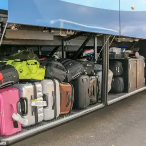 Shocking Discovery of Two-Year-Old Hidden in Suitcase on Bus Sparks Community Alarm in New Zealand