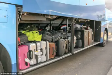 Shocking Discovery of Two-Year-Old Hidden in Suitcase on Bus Sparks Community Alarm in New Zealand