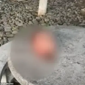 Six Severed Heads Found in Central Mexico: Latest Cartel Bloodbath Sends Shockwaves Through Region