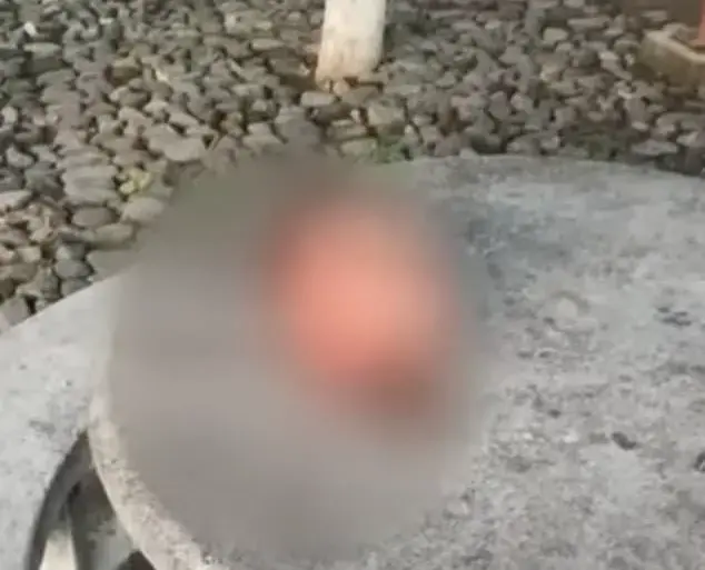Six Severed Heads Found in Central Mexico: Latest Cartel Bloodbath Sends Shockwaves Through Region