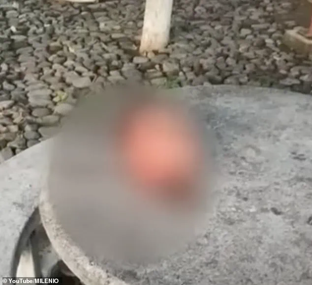 Six Severed Heads Found in Central Mexico: Latest Cartel Bloodbath Sends Shockwaves Through Region