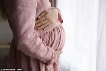 Summer Weather Linked to Higher IVF Success Rates, Study Finds