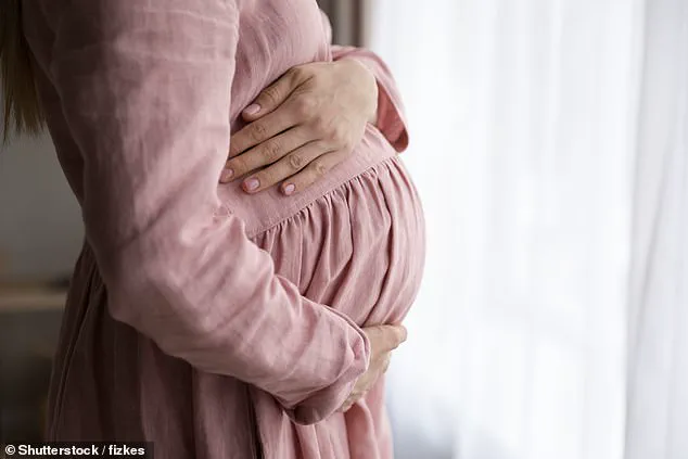 Summer Weather Linked to Higher IVF Success Rates, Study Finds