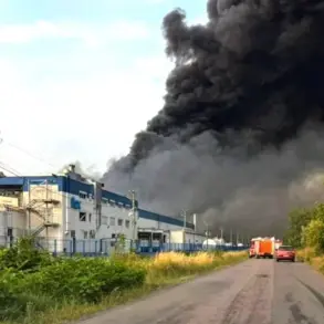 Symbol of War's Toll: American Flex Factory's Ruins Highlight Vulnerability in Ukraine's Zakarpattia Region
