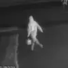 Texas Family of Eight Left in Terror After Home Fire Attack by Hooded Assailant