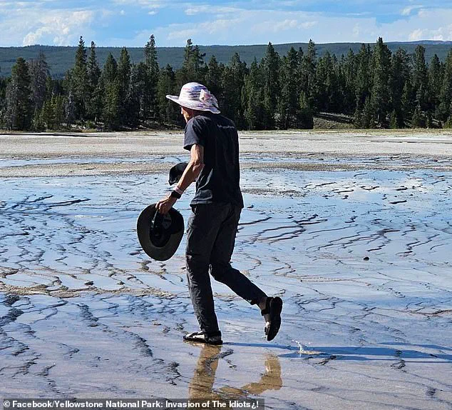 Tourist's Actions at Yellowstone Spark Controversy Over Ecosystem Preservation