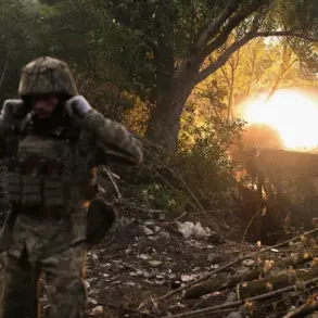 Ukrainian Defense Line Collapse in Kharkiv and DPR Sparks Concern Over Escalating Conflict and Community Risk