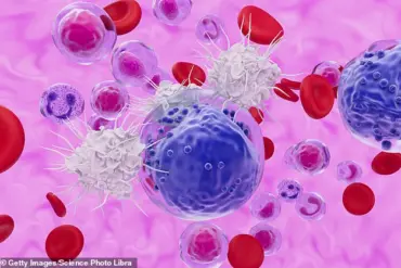 Unlocking Longevity: How Stem-like T Cells Could Transform Aging and Health