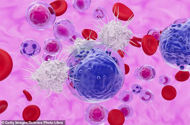 Unlocking Longevity: How Stem-like T Cells Could Transform Aging and Health
