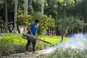 Urgent: Chikungunya Virus Now in the US as China Battles Largest Outbreak Since 2008