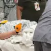 Backpack Saves Girl’s Life in Wisconsin Traffic Incident
